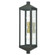 2 Lt BZ Outdoor Wall Lantern (108|20583-07)