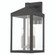 3 Lt BK Outdoor Wall Lantern (108|20584-04)