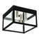 4 Lt BK Outdoor Ceiling Mount (108|20589-04)