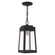 1 Lt Black Outdoor Pendant Lantern (108|20854-04)