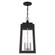 3 Lt Black Outdoor Pendant Lantern (108|20857-04)