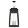 4 Lt Black Outdoor Pendant Lantern (108|20863-04)