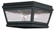 2 Light Charcoal Outdoor Ceiling Mount (108|2611-04)