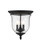 3 Light Black Ceiling Mount (108|5024-04)