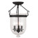 3 Light Black Ceiling Mount (108|5082-04)