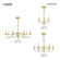 3 Lt Polished Brass Mini Chandelier (108|52163-02)