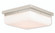 3 Light PN Wall Sconce/Ceiling Mount (108|65537-35)