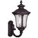 3 Light Bronze Outdoor Wall Lantern (108|7856-07)
