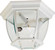 Crown Hill-Outdoor Flush Mount (19|1029WT)