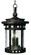 Santa Barbara DC-Outdoor Hanging Lantern (19|3138CDSE)