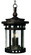 Santa Barbara VX-Outdoor Hanging Lantern (19|40039CDSE)
