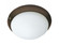 Fan Light Kits-Ceiling Fan Light Kit (19|FKT206OI)