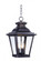 Knoxville-Outdoor Hanging Lantern (19|1139CLBZ)