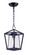 Artisan-Outdoor Hanging Lantern (19|3179CLBK)