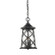 Outdoor Hanging Lantern (670|2504-PBK)