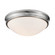 2-Light Flushmount Ceiling Light Brushed Nickel (670|5223-BN)