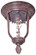 Bronze Outdoor Flush Mount (10|8999-61B)