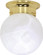 1 Light - 6'' Flush with Alabaster Glass - Polished Brass Finish Finish (81|60/255)