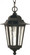 Cornerstone; 1 Light; 13 in.; Hanging Lantern with Clear Seed Glass; Textured Black Finish (81|60/993)