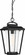 Lakeview - 1 Light Hanging Lantern with Clear Seed Glass - Aged Bronze Finish (81|60/6514)