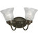 Fluted Glass Collection Two-Light Antique Bronze Clear Prismatic Glass Traditional Bath Vanity Light (149|P3288-20)