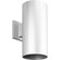 6'' White Outdoor Wall Cylinder (149|P5641-30)