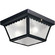 Two-Light 9-1/4'' Flush Mount for Indoor/Outdoor use (149|P5729-31)