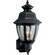 P5737-31 1-60W MED WALL LANTERN (149|P5737-31)