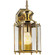 BrassGUARD Collection One-Light Wall Lantern (149|P5832-10)