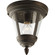 Westport Collection One-Light 9-1/8'' Close-to-Ceiling (149|P3883-20)