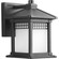 P6000-31 1-100W MED WALL LANTERN (149|P6000-31)