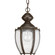 P5565-20 1-100W MED HANGING LANTERN (149|P5565-20)