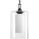 Compel Collection One-Light Hanging Lantern (149|P6520-31)