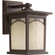 P6052-20 1-100W MED WALL LANTERN (149|P6052-20)