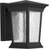 P6067-3130K9 1-9W LED WALL LANTERN (149|P6067-3130K9)