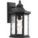 P6072-31 1-100W MED WALL LANTERN (149|P6072-31)