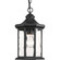P6529-31 1-100W MED HANGING LANTERN (149|P6529-31)