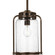 P5561-20 1-100W MED HANGING LANTERN (149|P5561-20)