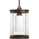 Archives Collection One-Light Hanging Lantern (149|P5564-20)
