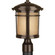 Wish Collection One-Light LED Post Lantern (149|P6424-2030K9)