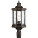 P6429-20 1-100W MED POST LANTERN (149|P6429-20)