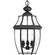 P6533-31 3-60W CAND HANGING LANTERN (149|P6533-31)