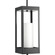 P550024-031 1-100W MED HANGING LANTERN (149|P550024-031)