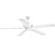 P2562-30 60IN 5 BLADE OUTDOOR FAN (149|P2562-30)