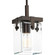 Glayse Collection One-Light Antique Bronze Clear Glass Luxe Pendant Light (149|P500073-020)
