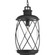 P550029-031 1-100W MED HANGING LANTERN (149|P550029-031)