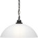P500149-020 1-100W MED PENDANT (149|P500149-020)