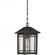 Cedar Point Outdoor Lantern (26|CPT1910PN)