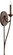 BROOKS 1LT CAND WL/MT -OB (83|5650-1-86)