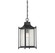 Dunnmore 1-Light Outdoor Hanging Lantern in Black (128|5-3455-BK)